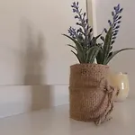 Warm Terrace Апартаменти