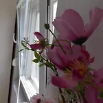 Warm Terrace Апартаменти