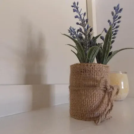 Warm Terrace Apartament