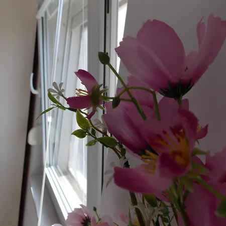 Warm Terrace Apartman