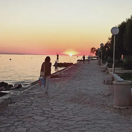 Warm Terrace Ζαντάρ