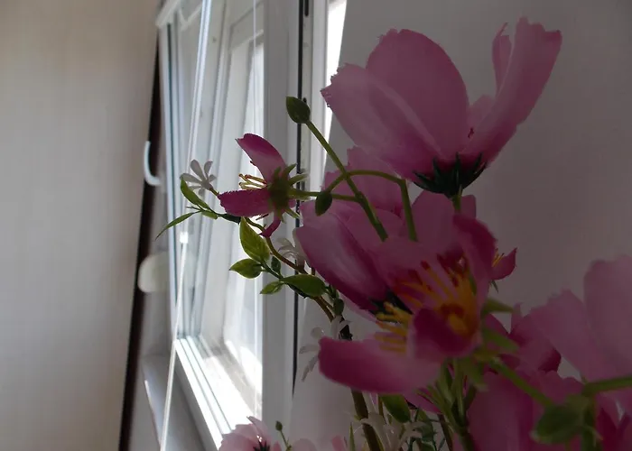 Warm Terrace Appartement